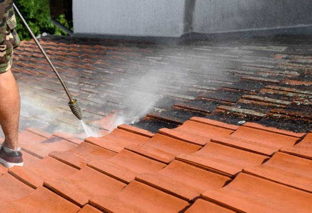 Best Affordable Power Washing  in Richgrove, CA