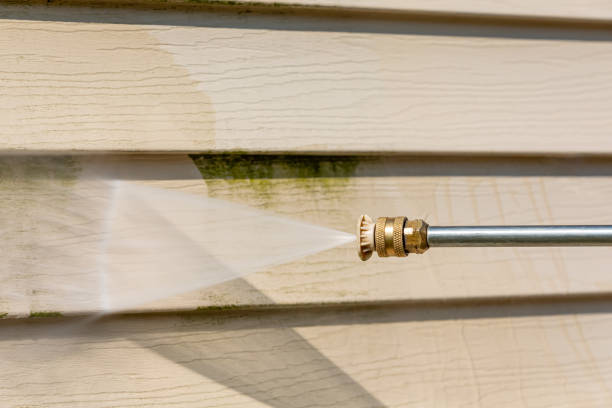 Best Exterior Home Cleaning  in Richgrove, CA